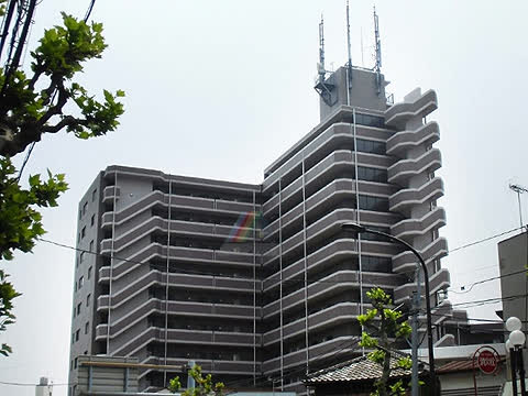 コスモ堀切菖蒲園